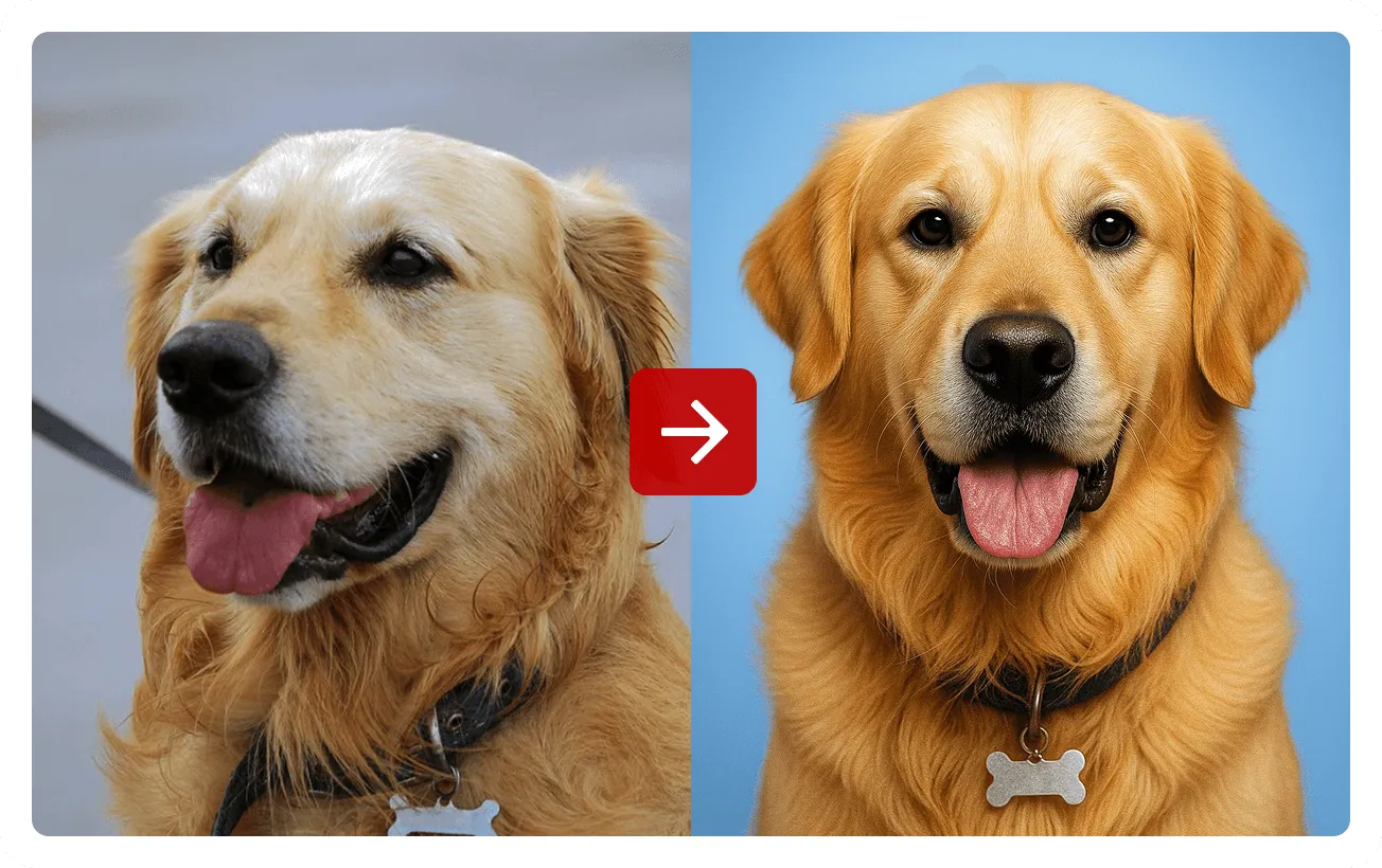 Sample Pet Passport Demo1