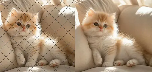 Usuwacz znaku wodnego wideo