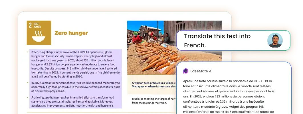 PDF e Tradução de Documentos, Múltiplas Línguas