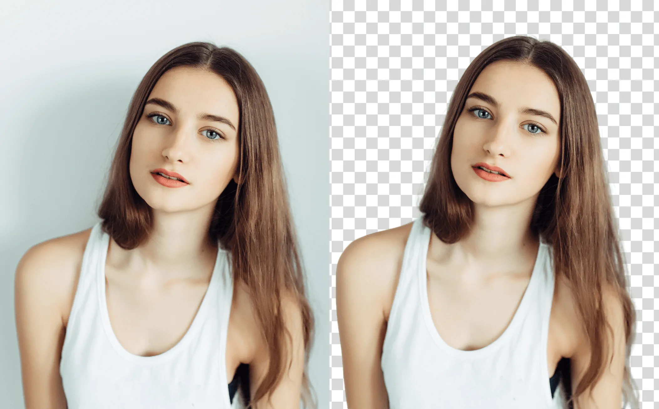 Sample Background Remover Demo1