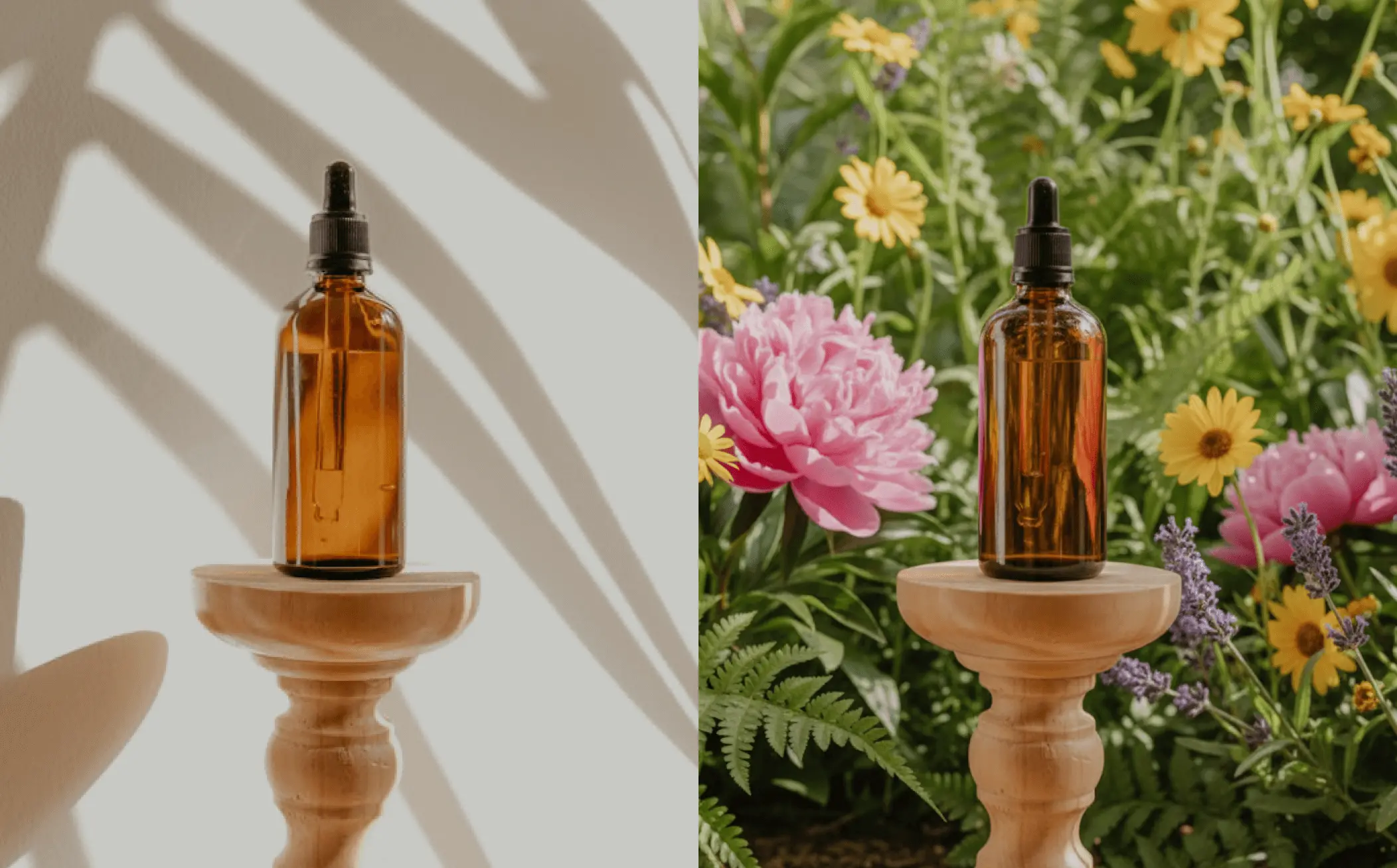 Sample Background Changer Demo2