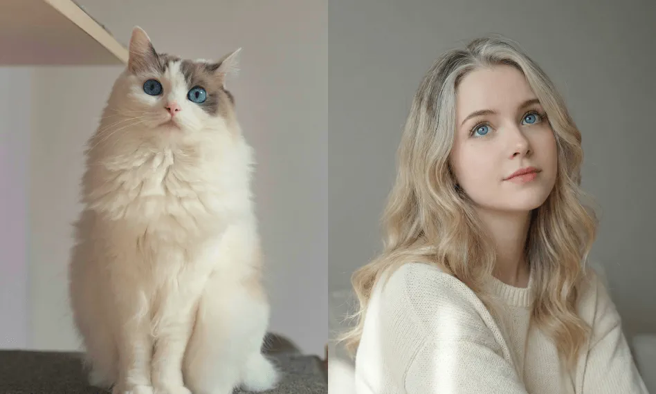 Convert Pet to Human with AI Free