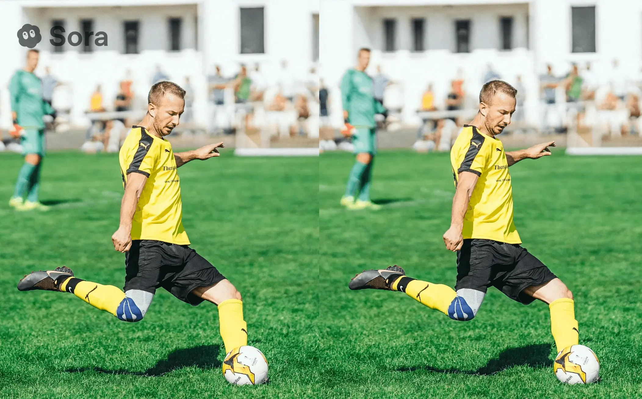 sora Watermark Remover Sample Image 2