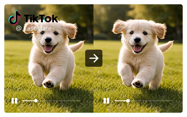 Instantly Remove TikTok Watermark for Free