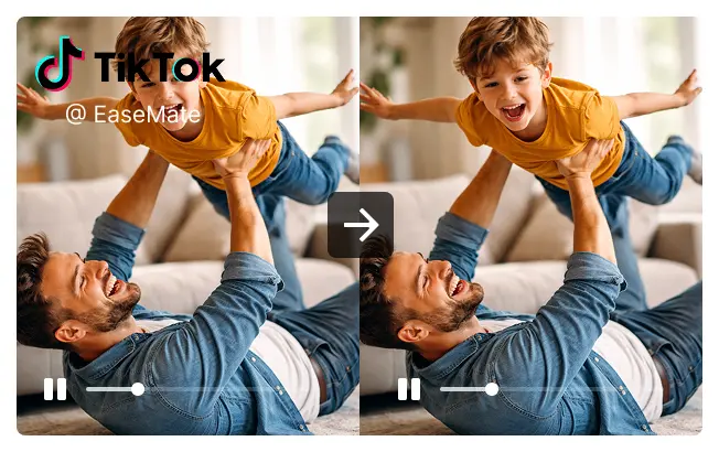 TikTok Watermark Remover Sample Image 2