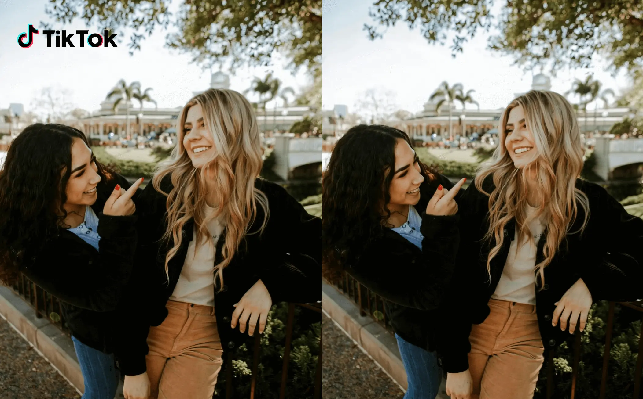 TikTok Watermark Remover Sample Image 1