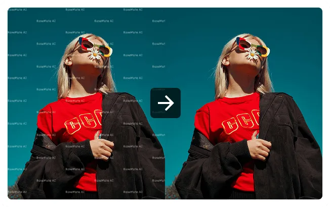 Sample Watermark Remover Demo2