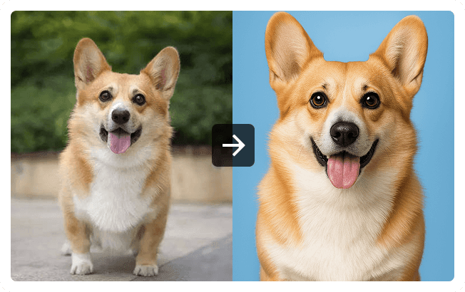 AIを使ってペットのパスポート写真を無料で作成する